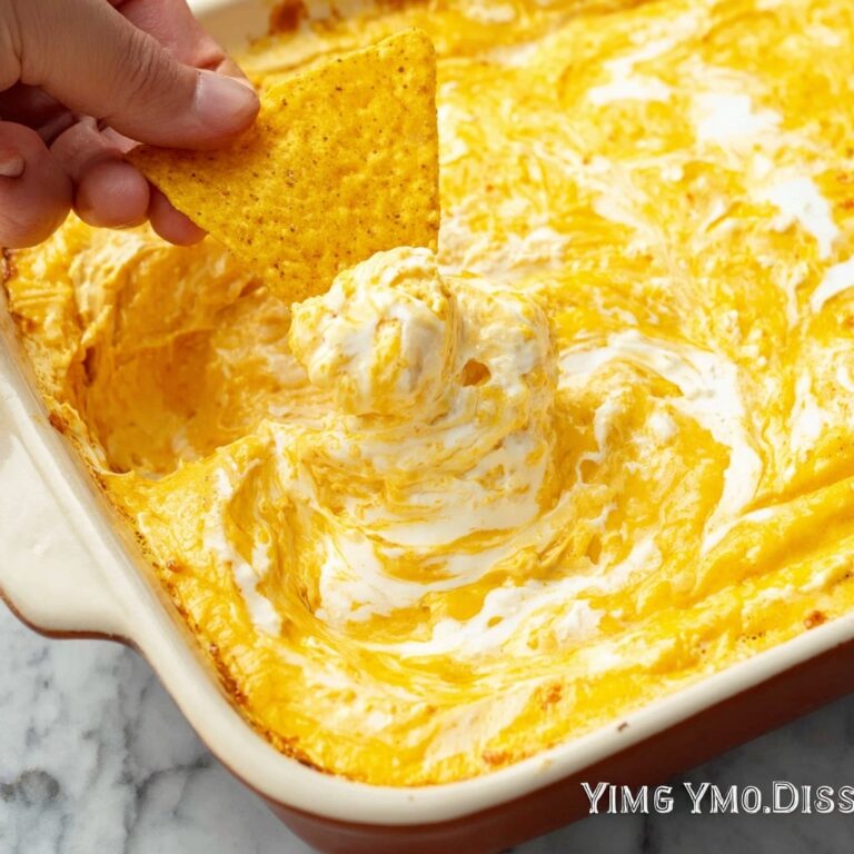 Chicken Enchilada Dip Recipe